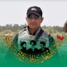 Ra Bd's profile picture
