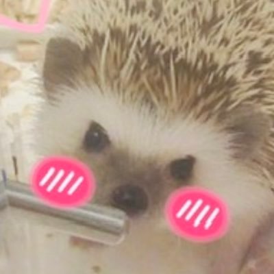 아지🐶's profile picture
