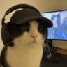 P's profile picture