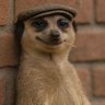 Profilbild von kripto