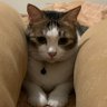 Фото профиля ママです