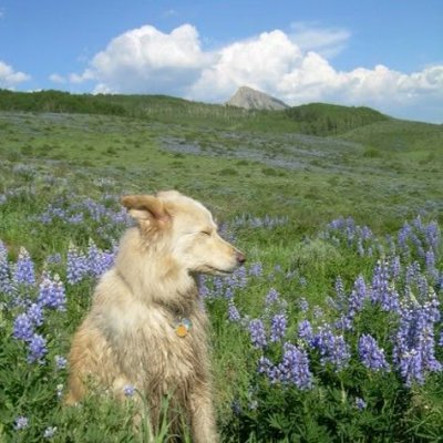 retro's profile picture