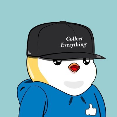 Alex Needelman's profile picture