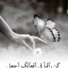 علي الركابي 的头像