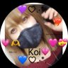 koi(新垢)'s profile picture