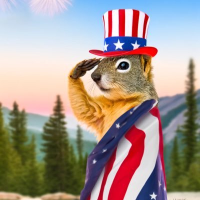 vineszoo's profile picture