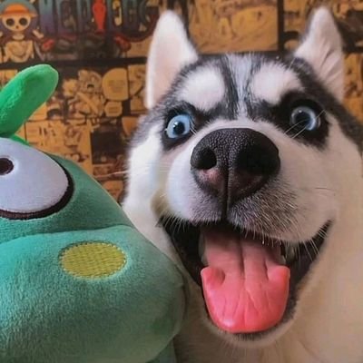 MrHuskie0's profile picture