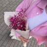 قـمر's profile picture