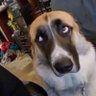 bensus's profile picture