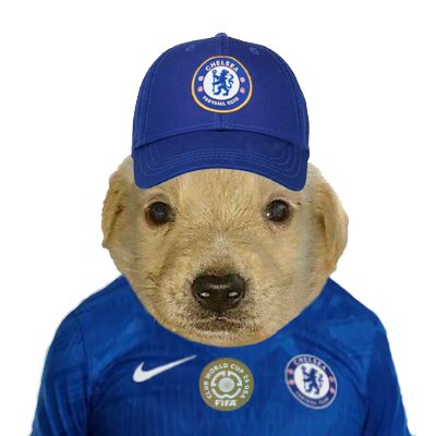 Perro Chelsea #ClearlakeOUT #EghbaliOUT's profile picture