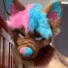Profilbild von Booma Dingo AD 18+