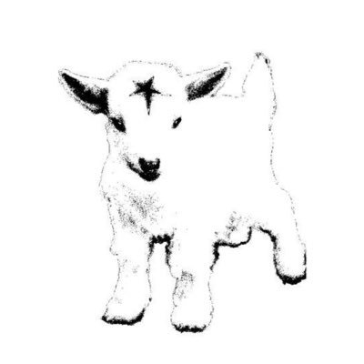 mizoca;'s profile picture