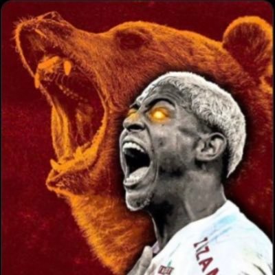 JK 🐻's profile picture