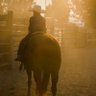 Фото профиля rodeocowboy