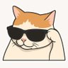 Profilbild von Dhruvil