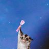 jehaisladroite.xoxo's profile picture