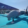 MC2025 的头像