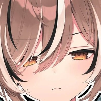 Kamiyo🪶's profile picture
