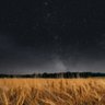 Фото профиля 星下良夜
