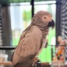 Profilbild von Mikhail