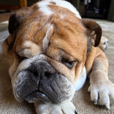 sin ⁴⁴'s profile picture