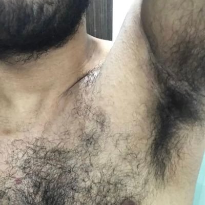PiggyBearded's profile picture