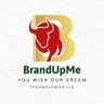 BrandUpMe Technologies Co LLC 的头像