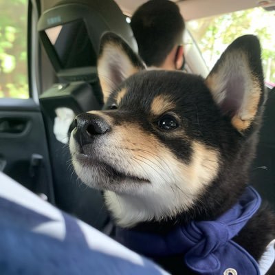 huangtianming3's profile picture