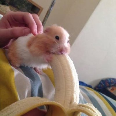 founderhubby's profile picture