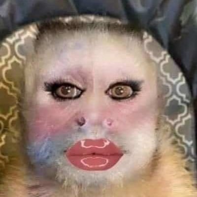 Faith's profile picture