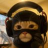 NoyKatt's profile picture