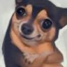 Profilbild von Matt