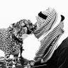 Фото профиля شغموم