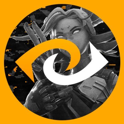 TLRValorant's profile picture