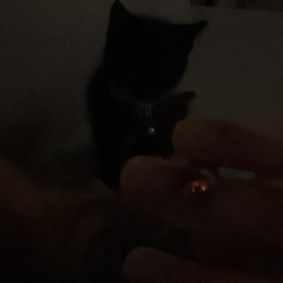 .'s profile picture