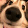 Profilbild von Tudoushaoji