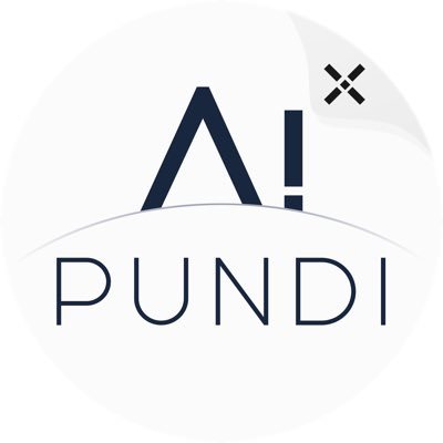 PundiAI's profile picture