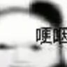 Profilbild von 陶林