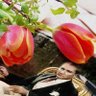 esersun profil fotoğrafı