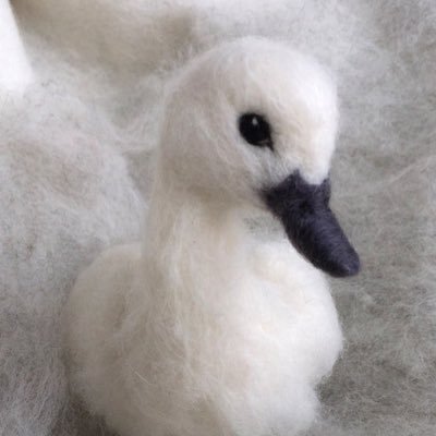 TSwany's profile picture