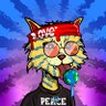 Canit B Dunn's profile picture