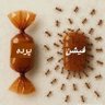 Ghulam Raza Attari's profile picture