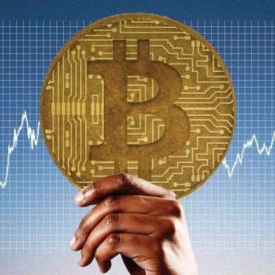 Professor1Bitco's profile picture