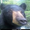 Julian's profile picture