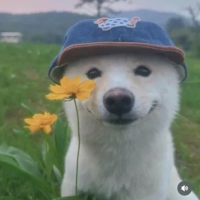 towferr's profile picture