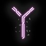 Yesper's profile picture