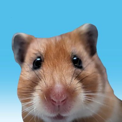 ハムセキレイ's profile picture