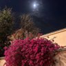 سُعاد profil fotoğrafı