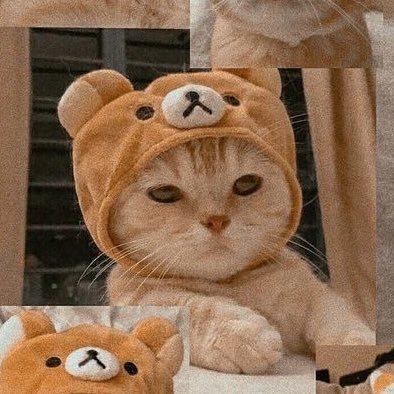 mnilakk's profile picture