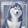 ベリィベル(竹) 的头像